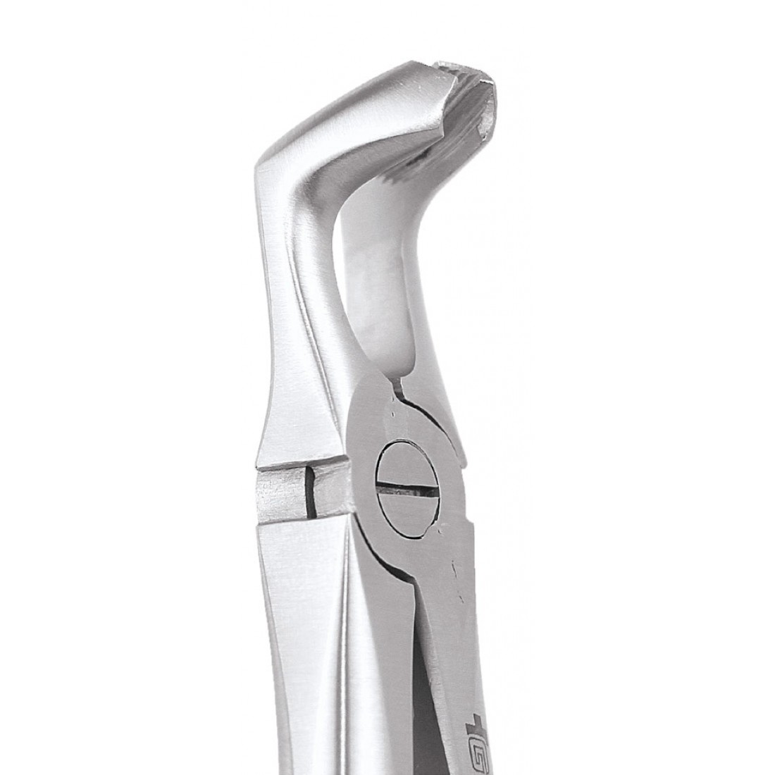 Buy Ergonomic Extraction Forcep Lower Third Molars FX79E